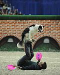 WIHS-10-23-09-DER_7590-ZakGeorge-DDeRosaPhoto.jpg