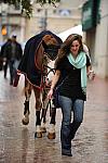 WIHS08-10-25-Setup-275-DDeRosaPhoto.jpg