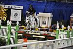 WIHS-10-22-09-DSC_5502-ChironS-PaigeJohnson-AOJpr-DDeRosaPhoto.jpg