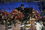 WIHS-10-22-09-DSC_5509-Condor-JoelleFroese-AOJpr-DDeRosaPhoto.jpg