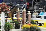WIHS-10-21-09-DSC_2921-WIHSChildJpr-Emanon-CecilyWaud-DDeRosaPhoto.jpg