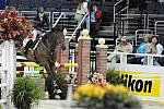 WIHS-10-21-09-DSC_2930-WIHSChildJpr-PuffDaddy-AnnaCatherineShealy-DDeRosaPhoto.jpg