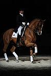 WIHS-10-24-09-DSC_0735-AshleyHolzer-PopArt-Dressage-DDeRosaPhoto.jpg