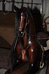WIHS-10-19-09-231-DDeRosaPhoto.jpg