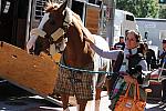 WIHS-10-19-09-357-DDeRosaPhoto.jpg
