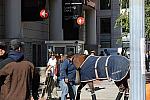 WIHS-10-19-09-385-DDeRosaPhoto.jpg