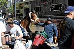 WIHS-10-19-09-394-DDeRosaPhoto.jpg