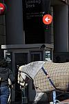 WIHS-10-19-09-401-DDeRosaPhoto.jpg