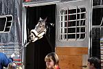 WIHS-10-19-09-407-DDeRosaPhoto.jpg