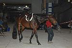 DSC_0025-DDeRosaPhoto.jpg