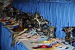 DER_5482-DDeRosaPhoto.jpg