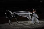 DSC_6574-DDeRosaPhoto.JPG
