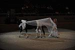 DSC_6579-DDeRosaPhoto.JPG