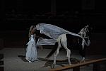 DSC_6590-DDeRosaPhoto.JPG