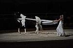 DSC_6601-DDeRosaPhoto.JPG