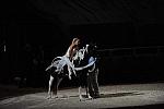 DSC_6603-DDeRosaPhoto.JPG