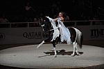DSC_6632-DDeRosaPhoto.JPG