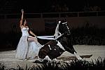 DSC_6650-DDeRosaPhoto.JPG