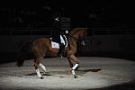 Dressage