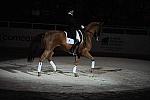 DSC_6760-DDeRosaPhoto.JPG