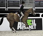 DSC_2365-Braveheart-AllisonToffolen-10-25-09-Sponsors-DDeRosaPhoto.jpg