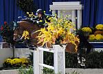 DanielleTorano-WIHS08-VancouverD'Auvrey--DSC_2795-DDeRosaPhoto.jpg