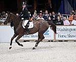 McLainWard-Sapphire-DSC_2798-WIHS08-DDeRosaPhoto.jpg
