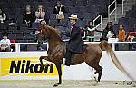 WIHS-10-25-09-DSC_3444-Sponsors-Nikon-DDeRosaPhoto.jpg