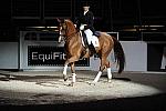 WIHS-19-23-09-DER_7427-AshleyHolzer-PopArt-Sponsors-EquiFit-DDeRosaPhoto.jpg