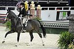 WIHS-10-20-09-DSC_0805-Sponsors-AnimalPlanet-DDeRosaPhoto.jpg