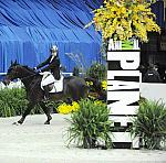 WIHS-10-21-09-AdultJprCh-DSC_3297-Hendrix-ChristinaMangano-Sponsors-AnimalPlanet-DDeRosaPhoto.jpg