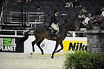 WIHS-10-21-09-DSC_1861-RockStar-JenniferAlfano-AnimalPlanet-DDeRosaPhoto.jpg