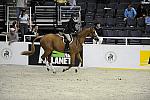 WIHS-10-21-09-DSC_2374-Confidential-ErinStewart-AnimalPlanet-DDeRosaPhoto.jpg