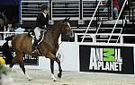 WIHS-10-21-09-DSC_2417-Cezanne-LillianHahn-Sponsors-AnimalPlanet-DDeRosaPhoto.jpg