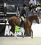 WIHS-10-22-09-DSC_4035-Epic-HayleyBarnhill-SmJrHtr15U-Sponsors-AnimalPlanet-DDeRosaPhoto.jpg
