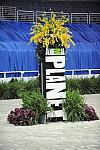 WIHS-10-23-09-DER_6752-OpJpr213-Sponsors-AnimalPlanet-DDeRosaPhoto.jpg