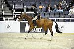 WIHS-10-23-09-DSC_7397-Safari-CaitlinZiegler-Sponsors-AnimalPlanet-DDeRosaPhoto.jpg