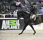 WIHS-10-23-09-DSC_8330-CommonSense-HayleyBarnhill-Sponsors-AnimalPlanet-DDeRosaPhoto.jpg