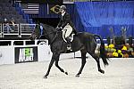 WIHS-10-25-09-DSC_2852-GranTurismo-AngeeQuattro-kern-Sponsors-AnimalPlanet-DDeRosaPhoto.jpg