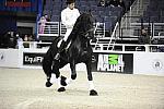 WIHS-10-25-09-DSC_3042-WOH-WishUponASter-Sponsors-AnimalPlanet-DDeRosaPhoto.jpg