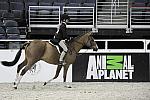 WIHS-10-25-09-LgPnyStke-DSC_2357-Braveheart-AllisonToffolon-Sponsors-AnimalPlanet-DDeRosaPhoto.jpg
