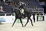 WIHS-10-25-09-LocalHtrHrs-DSC_2853-GranTurismo-AngeeQuattro-Kerns-Sponsors-AnimalPlanet-DDeRosaPhoto.jpg