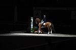 WIHS-19-23-09-DER_7355-AshleyHolzer-PopArt-Sponsors-AnimalPlanet-DDeRosaPhoto.jpg