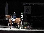 WIHS-19-23-09-DER_7358-AshleyHolzer-PopArt-Sponsors-AnimalPlanet-DDeRosaPhoto.jpg