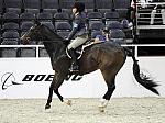 WIHS-10-25-09-DSC_2288-EliteStormFront-LaurenMartin-Sponsors-DDeRosaPhoto.jpg