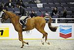 WIHS-10-20-09-DSC_9935-JerseyBoy-JenniferAlfano-Sponsors-Chevron-DDeRosaPhoto.jpg