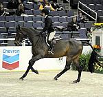 WIHS-10-23-09-DSC_8175-InPursuit-SamanthaSmith-Sponsors-Chevron-DDeRosaPhoto.jpg