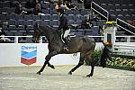 WIHS-10-23-10-WIHSJrEqHtr-DSC_8175-InPursuit-SamanthaSmith-Sponsors-Chevron-DDeRosaPhoto.jpg
