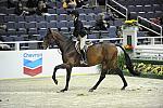 WIHS-10-23-10-WIHSJrEqHtr-DSC_8185-Spock-TaylorKain-Sponsors-Chevron-DDeRosaPhoto.jpg