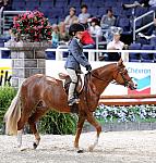 WIHS-10-24-09-DER_7862-RoshelsBitOBlue-BrittanyTarman-Sponsors-Chevron-DDeRosaPhoto.jpg
